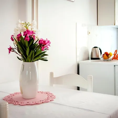 And Josip Apartment Rovinj